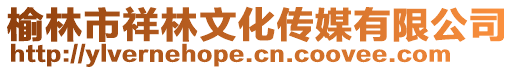 榆林市祥林文化傳媒有限公司