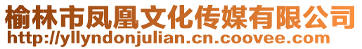 榆林市鳳凰文化傳媒有限公司