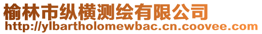 榆林市縱橫測繪有限公司