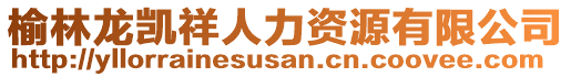 榆林龙凯祥人力资源有限公司