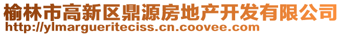 榆林市高新區(qū)鼎源房地產開發(fā)有限公司