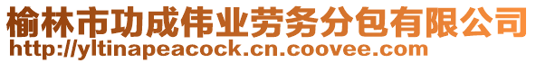 榆林市功成偉業(yè)勞務分包有限公司