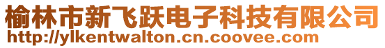 榆林市新飛躍電子科技有限公司