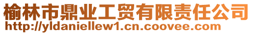 榆林市鼎業(yè)工貿有限責任公司