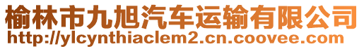 榆林市九旭汽車運(yùn)輸有限公司