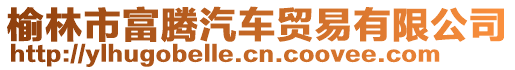 榆林市富騰汽車貿易有限公司