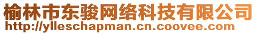 榆林市東駿網(wǎng)絡(luò)科技有限公司