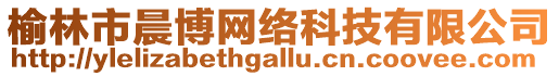 榆林市晨博網(wǎng)絡(luò)科技有限公司