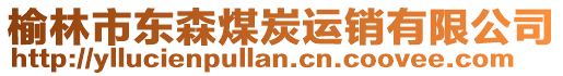 榆林市東森煤炭運(yùn)銷(xiāo)有限公司