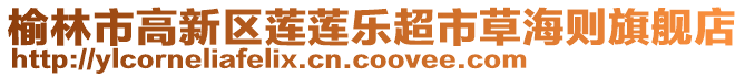 榆林市高新區(qū)蓮蓮樂超市草海則旗艦店