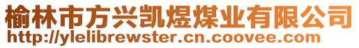 榆林市方興凱煜煤業(yè)有限公司