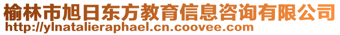 榆林市旭日東方教育信息咨詢有限公司