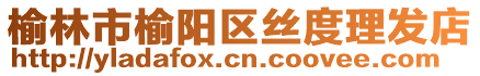 榆林市榆陽區(qū)絲度理發(fā)店