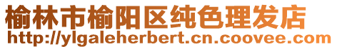 榆林市榆陽區純色理發店