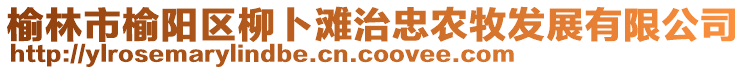 榆林市榆陽區(qū)柳卜灘治忠農(nóng)牧發(fā)展有限公司