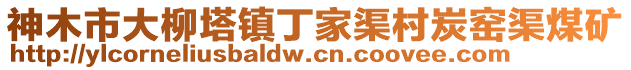 神木市大柳塔镇丁家渠村炭窑渠煤矿