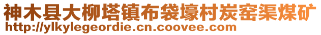 神木縣大柳塔鎮(zhèn)布袋壕村炭窯渠煤礦