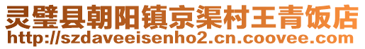 灵璧县朝阳镇京渠村王青饭店