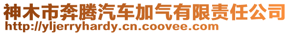 神木市奔騰汽車加氣有限責(zé)任公司