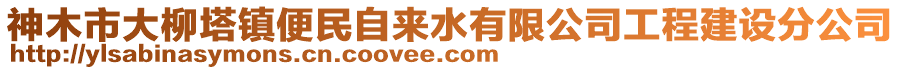 神木市大柳塔鎮(zhèn)便民自來水有限公司工程建設分公司