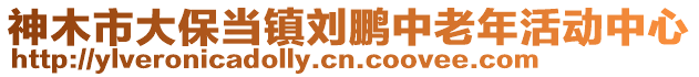 神木市大保當(dāng)鎮(zhèn)劉鵬中老年活動中心