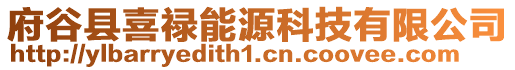 府谷縣喜祿能源科技有限公司