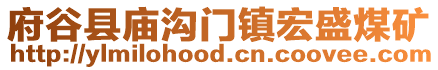 府谷縣廟溝門鎮(zhèn)宏盛煤礦