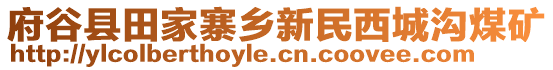 府谷縣田家寨鄉(xiāng)新民西城溝煤礦