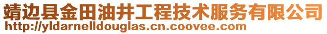 靖邊縣金田油井工程技術(shù)服務(wù)有限公司