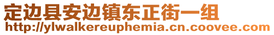 定邊縣安邊鎮(zhèn)東正街一組