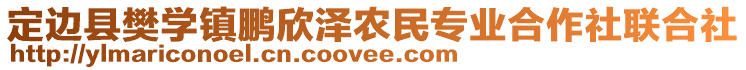 定邊縣樊學鎮(zhèn)鵬欣澤農(nóng)民專業(yè)合作社聯(lián)合社