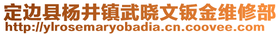 定邊縣楊井鎮(zhèn)武曉文鈑金維修部