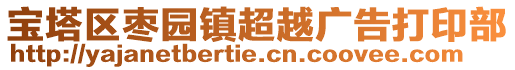 寶塔區(qū)棗園鎮(zhèn)超越廣告打印部