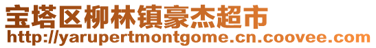 寶塔區柳林鎮豪杰超市