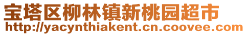 寶塔區(qū)柳林鎮(zhèn)新桃園超市