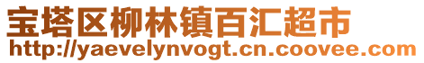 寶塔區柳林鎮百匯超市