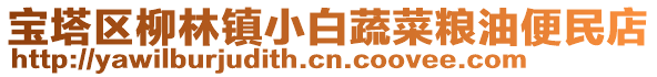 寶塔區柳林鎮小白蔬菜糧油便民店