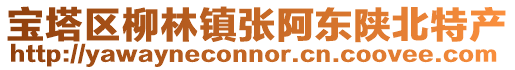 寶塔區(qū)柳林鎮(zhèn)張阿東陜北特產