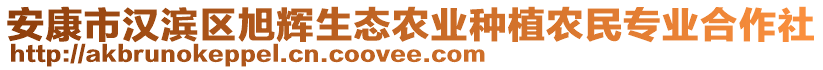 安康市汉滨区旭辉生态农业种植农民专业合作社