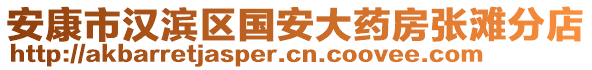 安康市漢濱區(qū)國安大藥房張灘分店