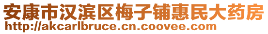 安康市漢濱區(qū)梅子鋪惠民大藥房