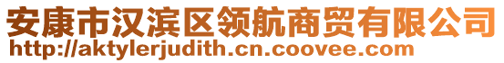 安康市漢濱區(qū)領(lǐng)航商貿(mào)有限公司