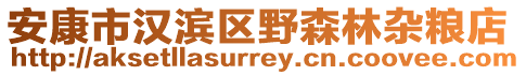 安康市漢濱區(qū)野森林雜糧店