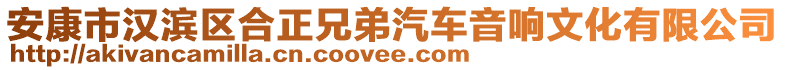 安康市漢濱區(qū)合正兄弟汽車音響文化有限公司