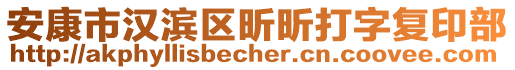 安康市漢濱區(qū)昕昕打字復印部