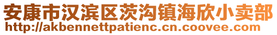 安康市漢濱區(qū)茨溝鎮(zhèn)海欣小賣部