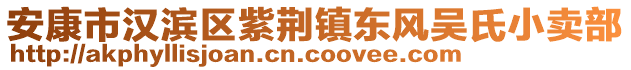 安康市漢濱區(qū)紫荊鎮(zhèn)東風(fēng)吳氏小賣部