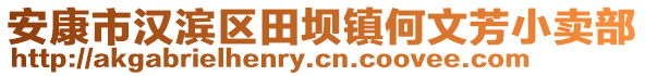 安康市漢濱區(qū)田壩鎮(zhèn)何文芳小賣部