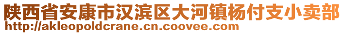 陜西省安康市漢濱區(qū)大河鎮(zhèn)楊付支小賣部