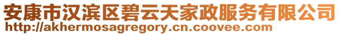 安康市漢濱區碧云天家政服務有限公司